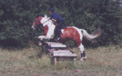 xcountry1.gif (30992 bytes)